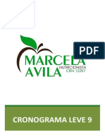 Cronograma Leve 9