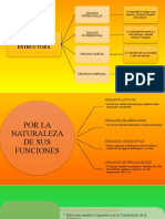 Órganos de La Administración Pública-Adriana Gómez