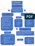 ERGE Mapa Conceptual