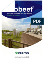 Portfolio Probeef 10 - 2022