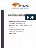 Indicadores Financieros