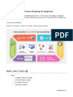 Ds Roadmap 2