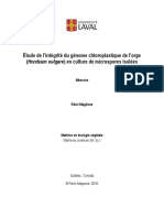 Étude de L'intégrité Du Génome Chloroplastique de L'orge (Hordeum Vulgare) en Culture de Microspores Isolées