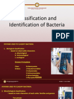 Classification and Identification of Bacteria