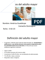 Cuidados Del Adulto Mayor Clinica Santa Isabel 1