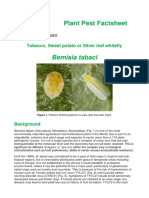 Bemisia Tabaci Defra Plant Pest Factsheet Feb 2017 2