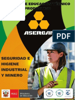 Brochure Seguridad e Higiene Industrial y Minero