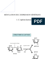 Operonlactose