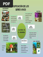 Mapa Conceptual de La Clasificacion de Los Seres Vivos 2