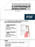 Respiratory System