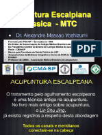 APOSTILA PDF 2021 Acupuntura Escalpiana DR - Alexandre