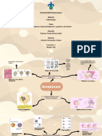 Ovogenesis y Espermatogenesis