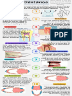 Afiche Órganos Dentarios.