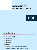 Neoplasms of The Genitourinary Tract