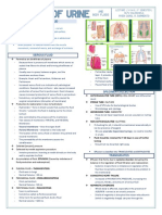 Aubf Lec Week 15