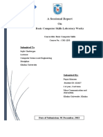 Cse Lab Report