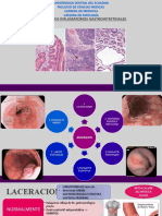 Procesos Inflamatorios Gastrointestinales