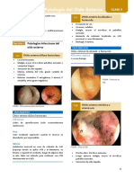 Patología Oído Externo