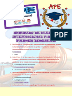 Derecho Internacional Publico