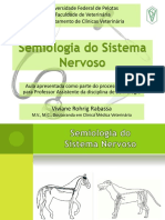 Semiologia Do Sistema Nervoso - Slide Aula