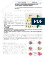 Tema 2 y 3 Desarrollo Embrionario