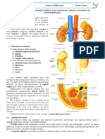 Tema 33