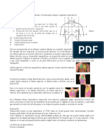 Semiologia Respiratoria pt1