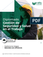 Diplomado: Gestión de Seguridad y Salud en El Trabajo