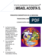 Medicina Tradicional Andina LIBRO