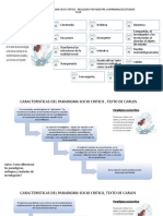 Caracteristicas Del Paradigma Socio Critico