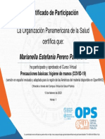 Precauciones Básicas Higiene de Manos (COVID 19) - Certificado Del Curso 2746952