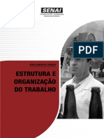 Estrutura e Organização Do Trabalho