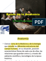 Bases Anatomía