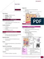 Histology - Week 2 - Epithelium Tissue