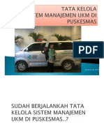 Tata Kelola Sistem Manajemen UKM Puskesmas