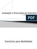 Exercícios para Mobilidade - Léo Lima