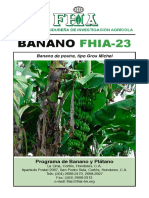 Fhia-23 Banano Resistente A La Sigatoka