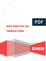 Guía Práctica Del Trabajo Final - PUBLICIDAD