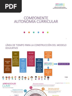 Componente Autonomía Curricular. Anexo Presentación