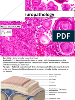 Neuro Pathology