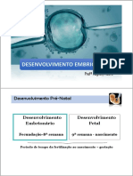 Slides - Desenvolvimento Embrionário