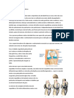 Trabalho Sobre Lesões Desportivas