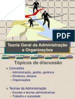 Teoria de Administracao