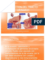 Clases 12 Infeccion Del Tracto Urinario