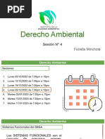 Derecho Ambiental - Sesión 4