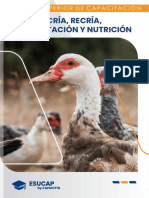 Cría, Recría, Alimentación y Nutrición Terminado