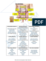 Topografia Abdominal