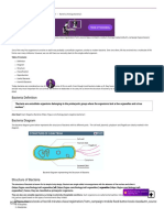 Bacteria - Definition, Structure, Diagram, Classification