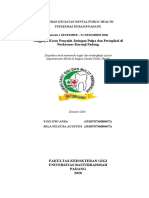 Laporan Puskesmas PDF