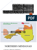 Northern Mindanao Region X